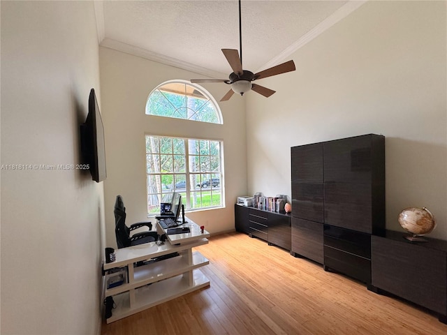 375 Sabal Way, Weston, FL 33326 - office area featuring ornamental molding, a ceiling fan, wood finished floors, and a textured ceiling