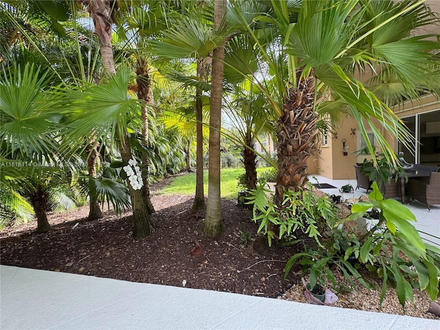 375 Sabal Way, Weston, FL 33326 - view of yard