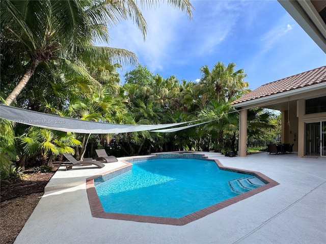375 Sabal Way, Weston, FL 33326 - outdoor pool featuring a patio