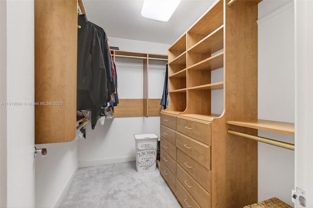 140 SE 5th Ave Unit 438, Boca Raton, FL 33432 - spacious closet featuring carpet