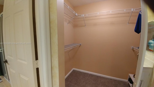 585 SE 25th Ln, Homestead, FL 33033 - walk in closet featuring carpet