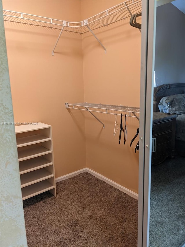 585 SE 25th Ln, Homestead, FL 33033 - spacious closet with carpet