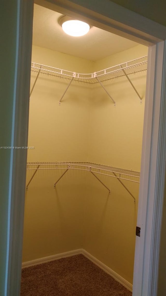 585 SE 25th Ln, Homestead, FL 33033 - walk in closet with dark colored carpet