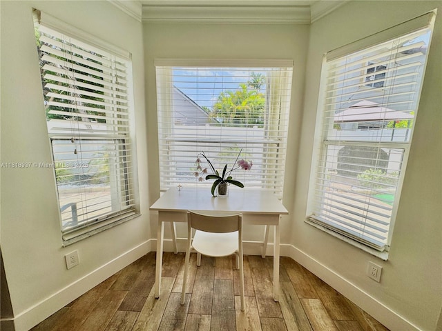 535 SW 181st Way, Pembroke Pines, FL 33029 - office with ornamental molding, wood finished floors, and plenty of natural light