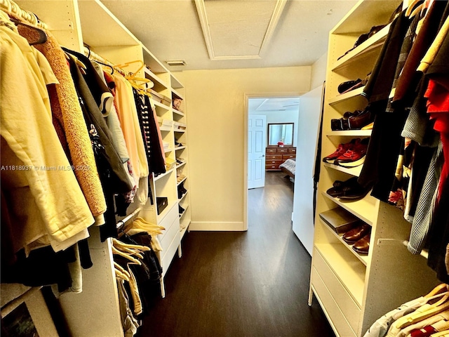 535 SW 181st Way, Pembroke Pines, FL 33029 - walk in closet with wood finished floors and attic access