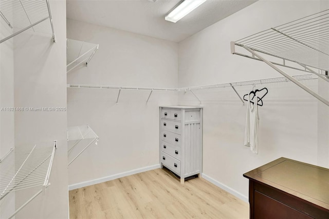 8144 Cascada Isles Dr, Cooper City, FL 33024 - spacious closet featuring light wood finished floors