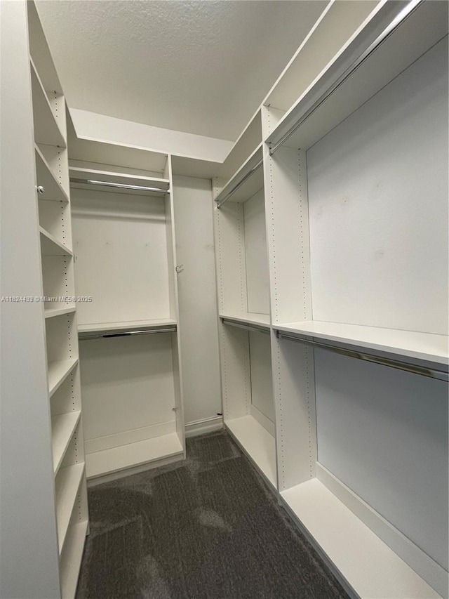 11455 Solstice Cir, Parkland, FL 33076 - spacious closet with dark colored carpet