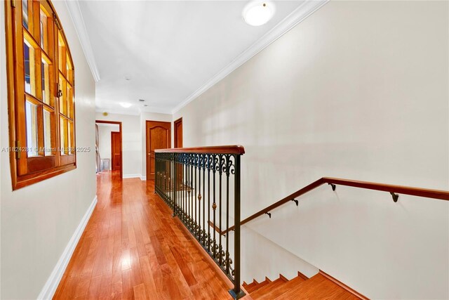 111 Aledo Ave, Coral Gables, FL 33134 - photo 45