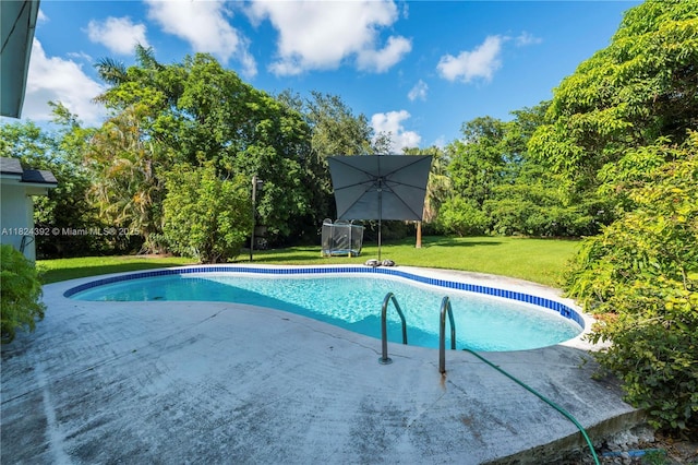 10901 SW 31st St, Davie, FL 33328 - outdoor pool featuring a patio and a yard