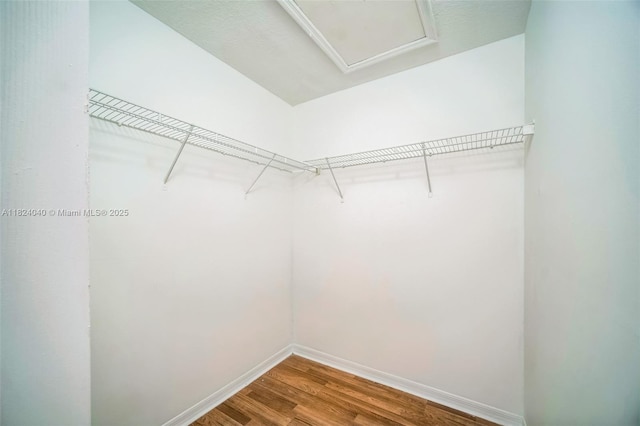 2903 SE 15th Ter, Homestead, FL 33035 - walk in closet featuring wood finished floors