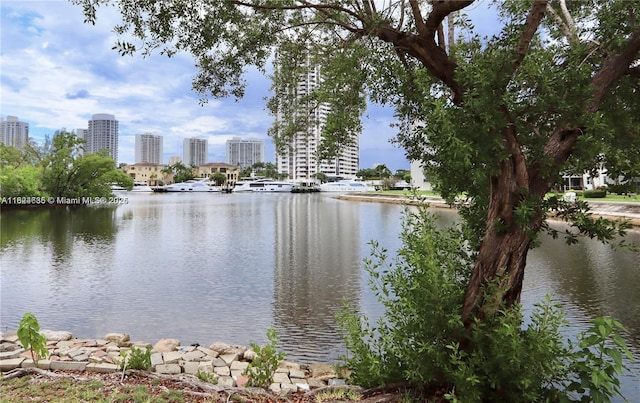 2930 Point E Dr Unit E309, Aventura, FL 33160 - water view featuring skyline