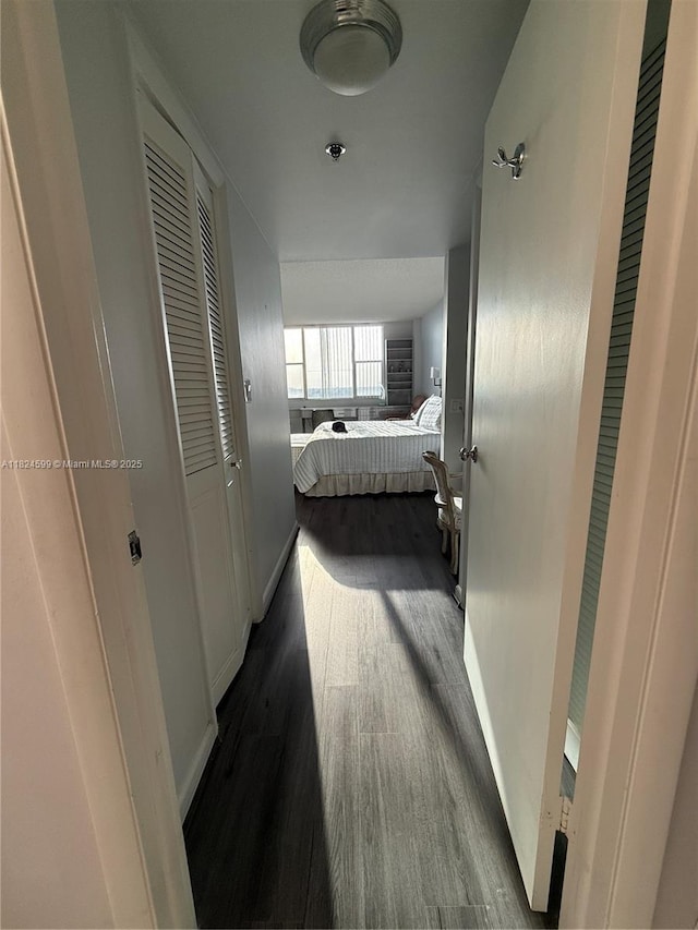4001 Hillcrest Dr Unit 710, Hollywood, FL 33021 - hall with dark wood-type flooring and baseboards