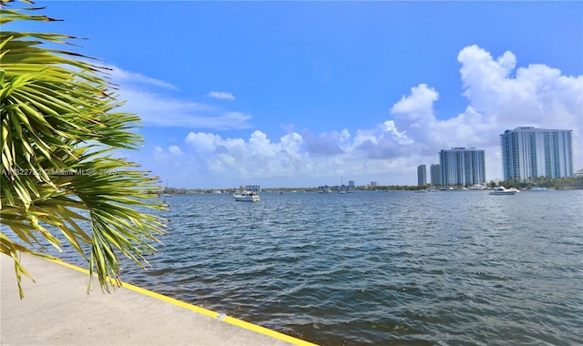 2920 Point E Dr Unit N208, Aventura, FL 33160 - water view featuring skyline