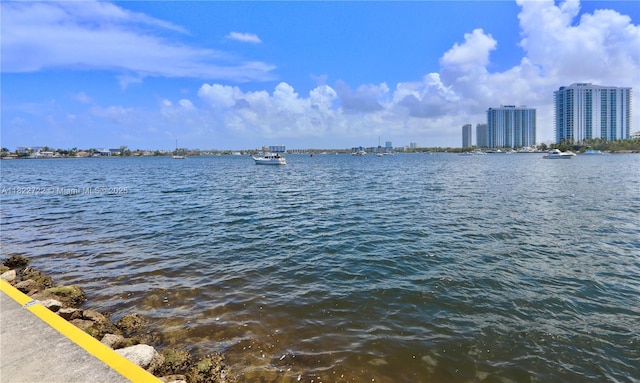 2920 Point E Dr Unit N208, Aventura, FL 33160 - water view with city skyline