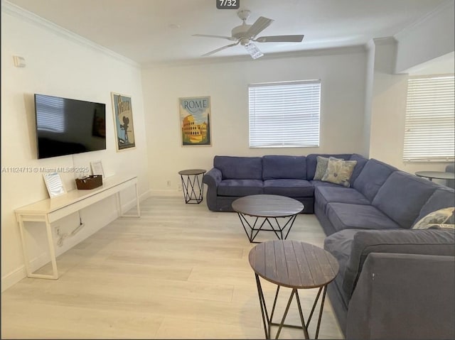 326 Harrison St Unit 303A, Hollywood, FL 33019 - living area with crown molding, light wood-type flooring, and ceiling fan