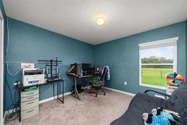4728 Adrienne St, Sebring, FL 33872 - office featuring carpet floors and a textured ceiling