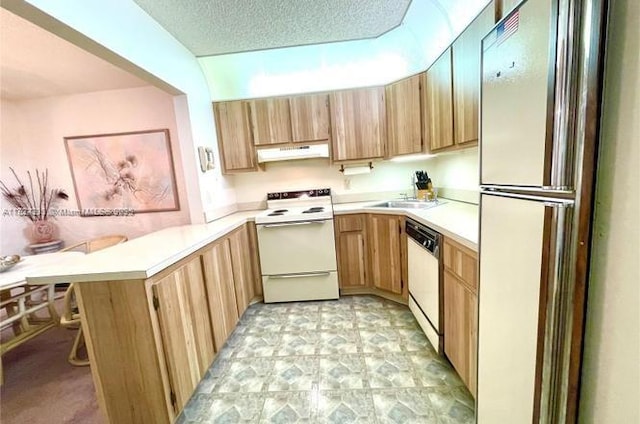 224 Pine Hov Cir Unit D-2, Green Acres, FL 33463 - kitchen with white range with electric cooktop, under cabinet range hood, freestanding refrigerator, dishwasher, and a peninsula