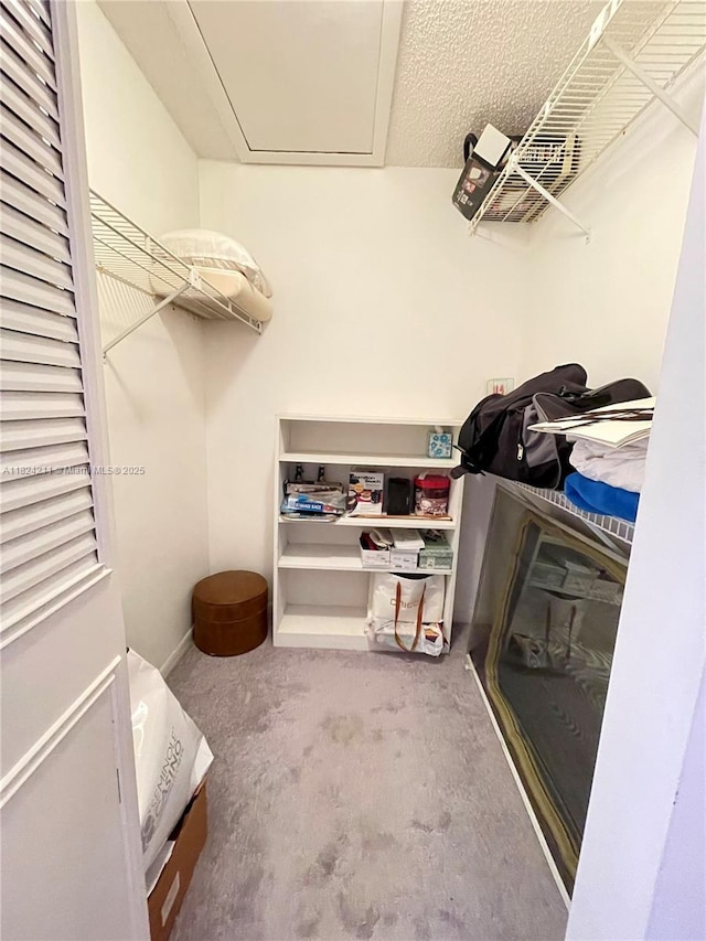 224 Pine Hov Cir Unit D-2, Green Acres, FL 33463 - spacious closet featuring carpet flooring