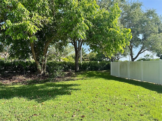 17088 NW 19th St, Pembroke Pines, FL 33028 - view of yard