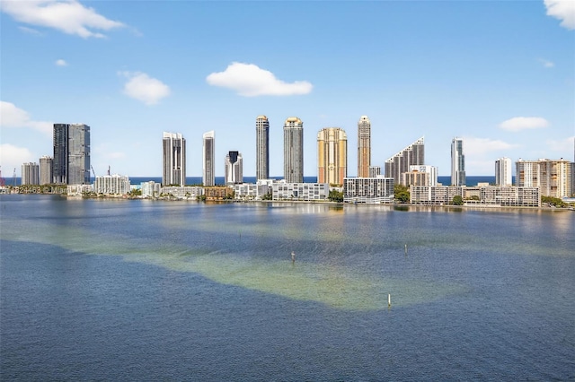 2800 Island Blvd Unit 1505, Aventura, FL 33160 - water view with skyline