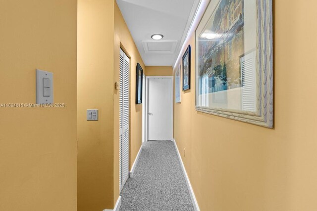 10091 SW 137th Pl, Miami, FL 33186 - hall with carpet and attic access