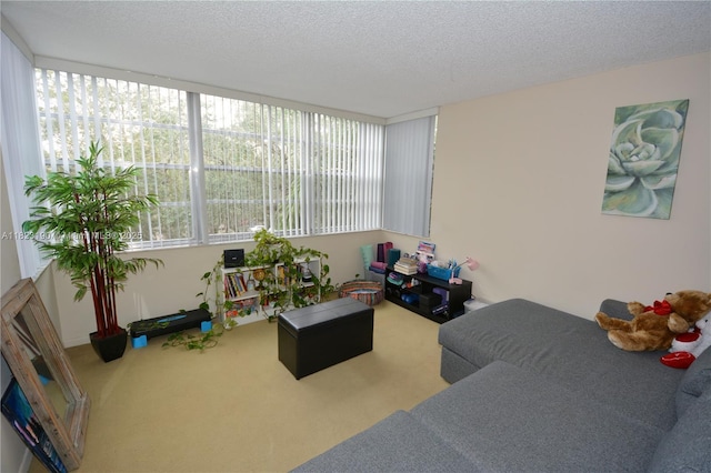 6500 Cypress Rd Unit 410, Plantation, FL 33317 - living area featuring carpet floors and a textured ceiling