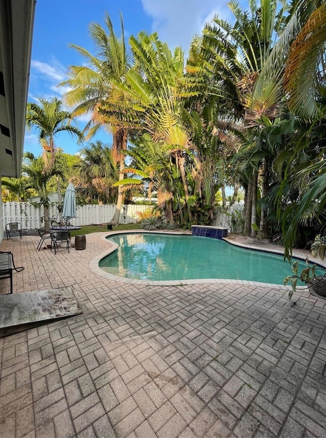 810 NE 21st Dr, Wilton Manors, FL 33305 - view of swimming pool featuring a patio area and a fenced backyard