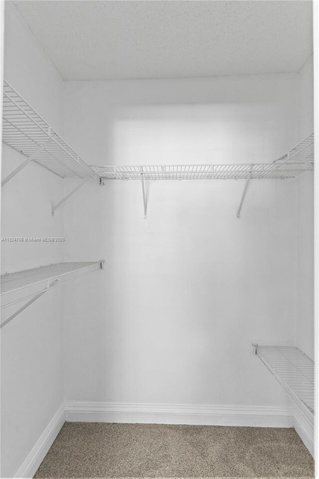 6445 SW 130th Pl Unit 612, Miami, FL 33183 - walk in closet with carpet floors
