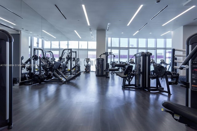 851 NE 1st Ave Unit 503, Miami, FL 33132 - exercise room with a wall of windows and wood finished floors