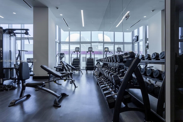 851 NE 1st Ave Unit 503, Miami, FL 33132 - gym featuring plenty of natural light and a wall of windows