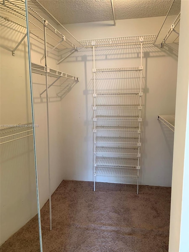 1250 NE 125th St Unit 410C, North Miami, FL 33161 - spacious closet featuring carpet floors