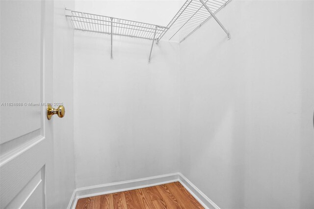 3610 SW 167th Ter, Miramar, FL 33027 - spacious closet featuring wood finished floors