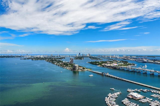 488 NE 18th St Unit 4112, Miami, FL 33132 - view of urban area featuring a large body of water and numerous boat docks