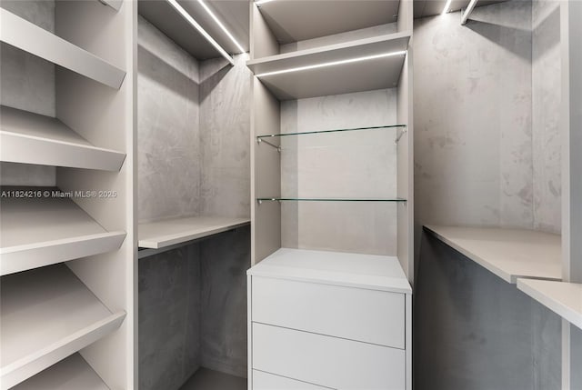 488 NE 18th St Unit 4112, Miami, FL 33132 - view of spacious closet
