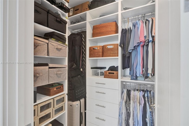 718 Valencia Ave Unit 204, Coral Gables, FL 33134 - view of walk in closet