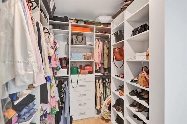 718 Valencia Ave Unit 204, Coral Gables, FL 33134 - view of spacious closet