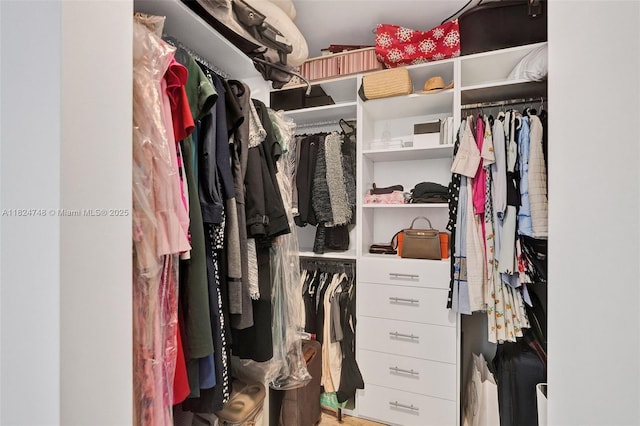 718 Valencia Ave Unit 204, Coral Gables, FL 33134 - view of spacious closet
