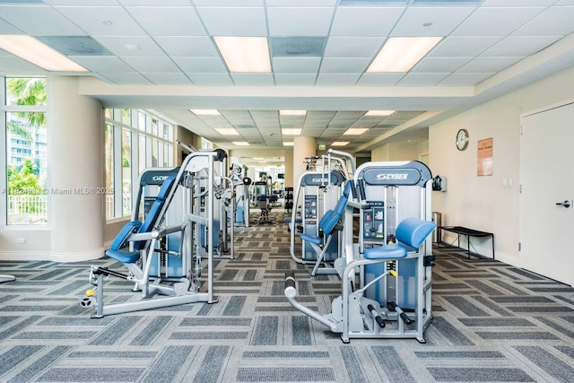801 Brickell Key Blvd Unit 807, Miami, FL 33131 - gym with carpet, plenty of natural light, and a drop ceiling