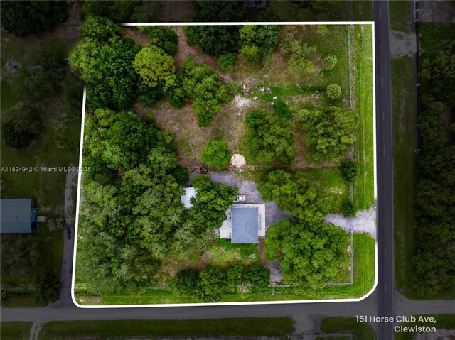 151 Horse Club Ave, Clewiston, FL 33440 - photo 14