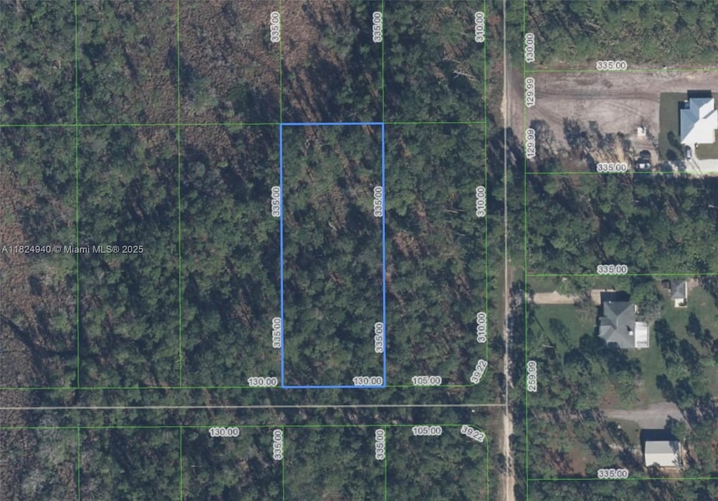 910 Iris Ave, Sebring, FL 33875