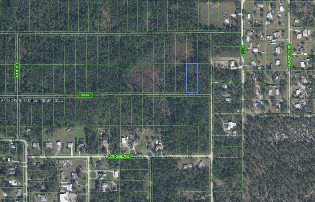 910 Iris Ave, Sebring, FL 33875