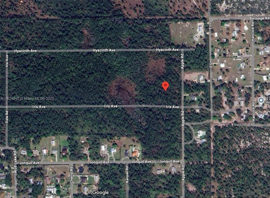 910 Iris Ave, Sebring, FL 33875