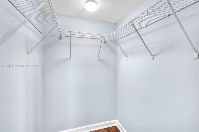 280 SW 20th Rd Unit 904, Miami, FL 33129 - walk in closet featuring wood finished floors