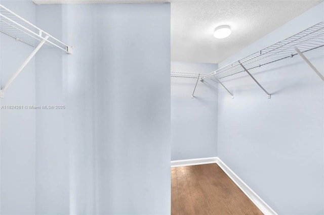 280 SW 20th Rd Unit 904, Miami, FL 33129 - spacious closet featuring wood finished floors