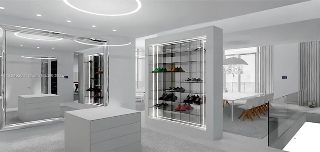 700 NE 26th Ter Unit Ph-02, Miami, FL 33137 - view of spacious closet