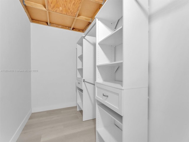 3427 Atlanta Dr, Hollywood, FL 33021 - walk in closet with light wood-style flooring