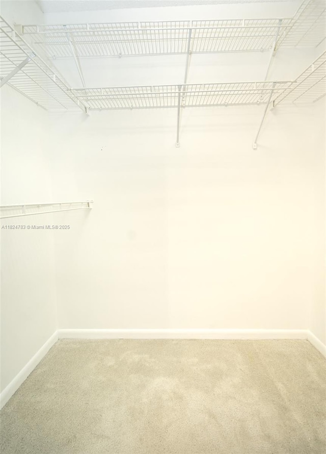 901 SW 141st Ave Unit 303M, Pembroke Pines, FL 33027 - spacious closet featuring light colored carpet