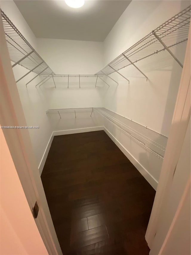 9181 NW 33rd St Unit 9181, Doral, FL 33172 - spacious closet with dark wood finished floors
