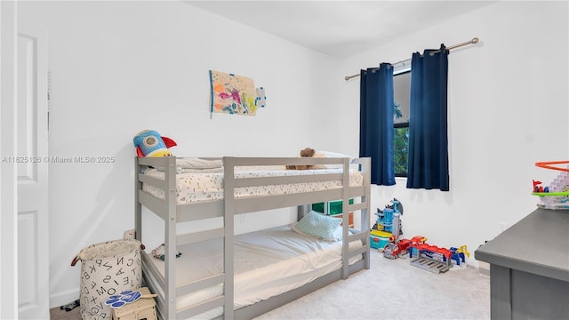 25564 SW 108th Ave, Homestead, FL 33032 - bedroom with carpet floors