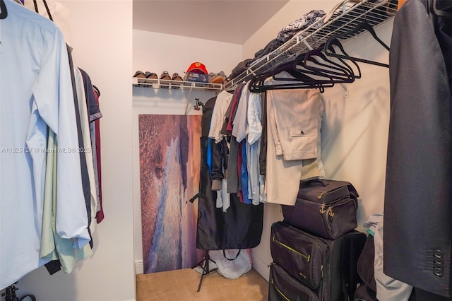 1250 S Miami Ave Unit 3003, Miami, FL 33130 - view of spacious closet